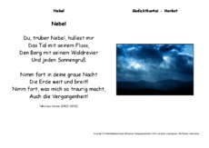 Nebel-Lenau.pdf